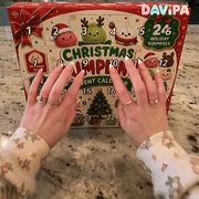 Dumpling Squishy Advent Calendar